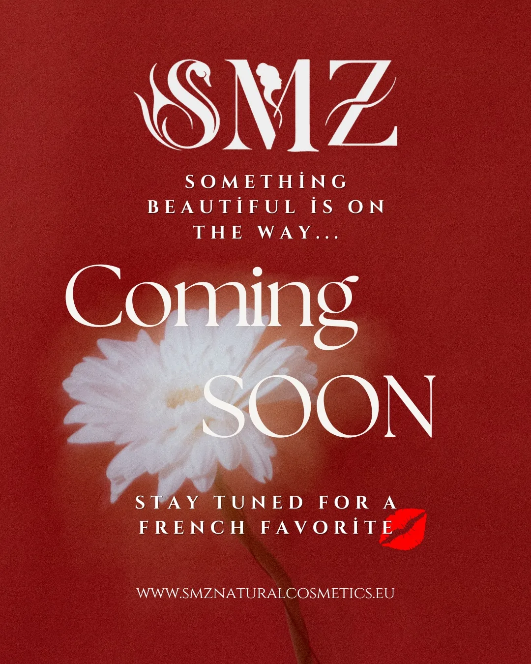 500871212 17919537741094354 2569501774143858473 n natural cosmetics